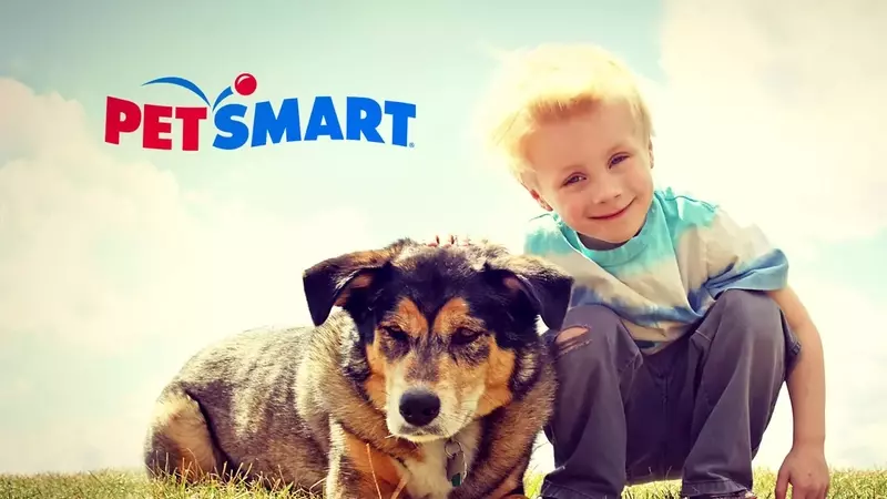 The PetSmart Promise: Diverse Services and Passionate Care for Your Pets