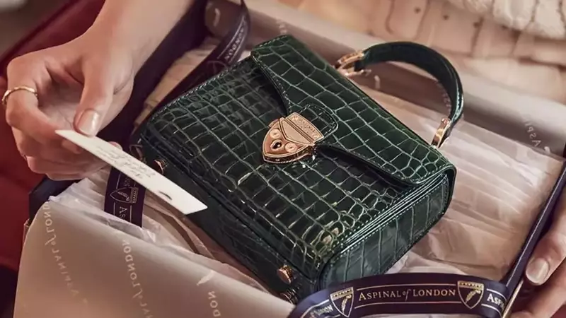 Classic vs. Trendy: Which Aspinal Handbag Should You Choose?