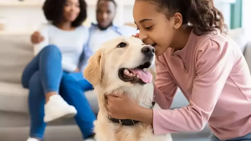 Top Picks for Dog Treats, Toys, and Hydration