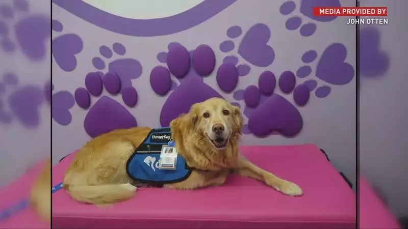 Brayden's Legacy: A Mission to Reunite Hospitalized Children with Their Beloved Pets