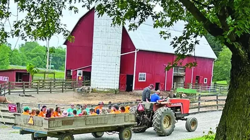 Healing Hearts: A Unique Camp for Grieving Children