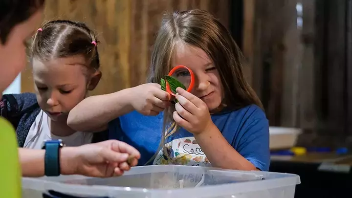 Exploring Nature Through Summer Camp Adventures at Macoskey Center