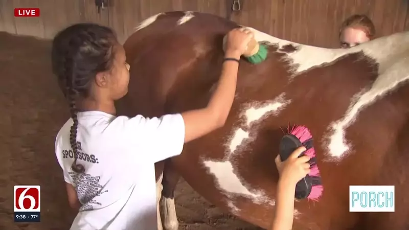 Summer Fun Awaits at the Enchanting Farm Camp