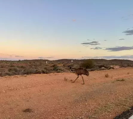 A Family Adventure Through the Australian Outback