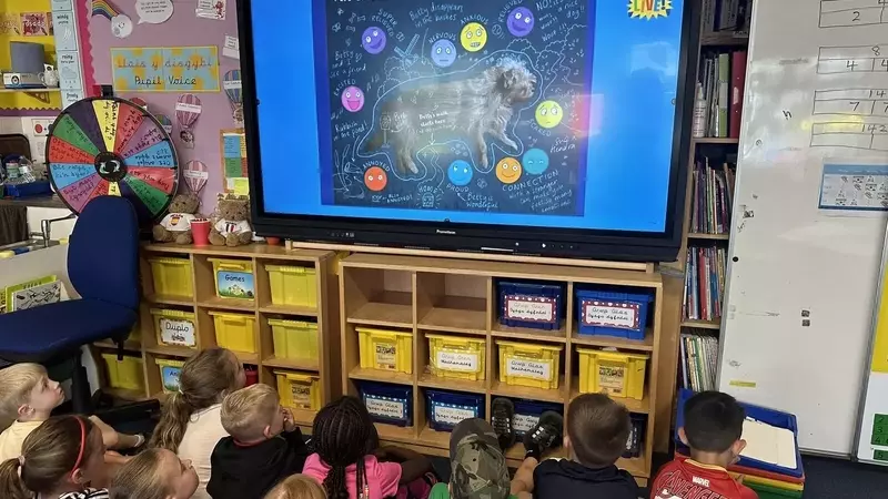 Empathy Education: Bridging Understanding Through Stories and Initiatives