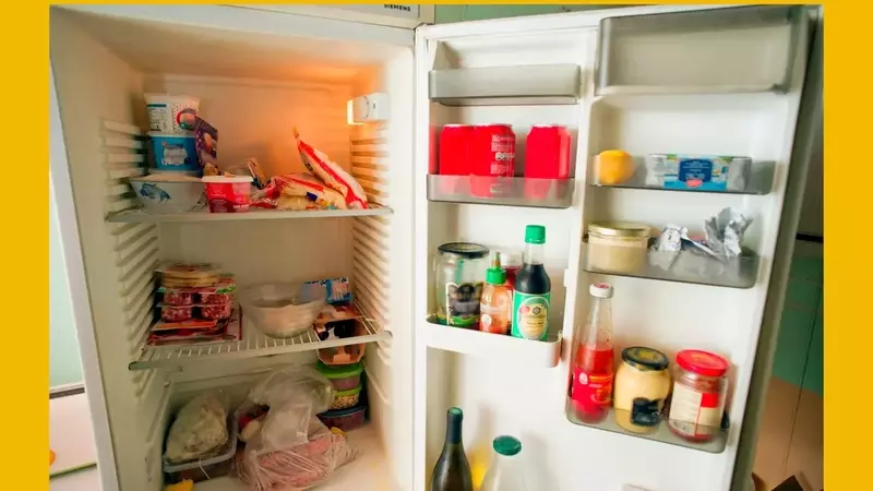 Generational Perspectives: The 'Millennial Flex' of a Garage Fridge Sparks Online Debate