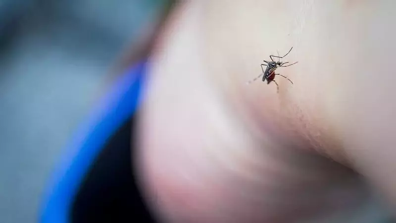 Unveiling Unexpected Strategies to Deter Mosquitoes
