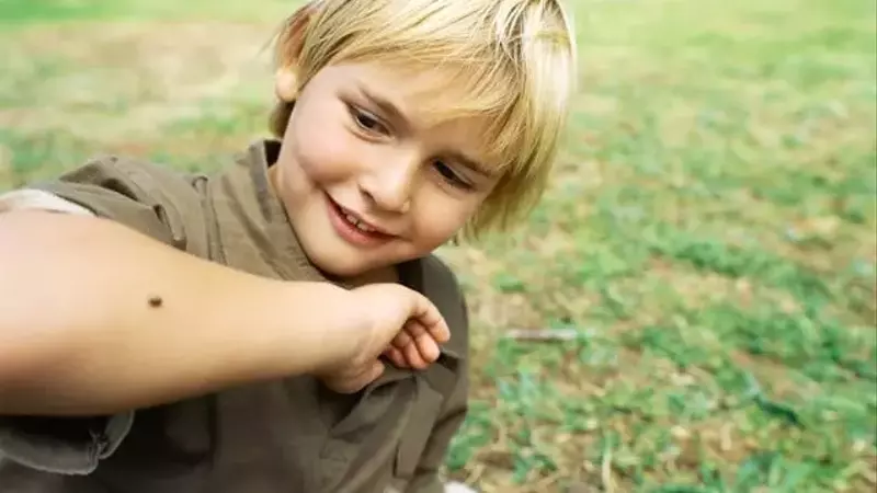 Escalating Tick Bite Incidents Raise Public Health Concerns, CDC Reports