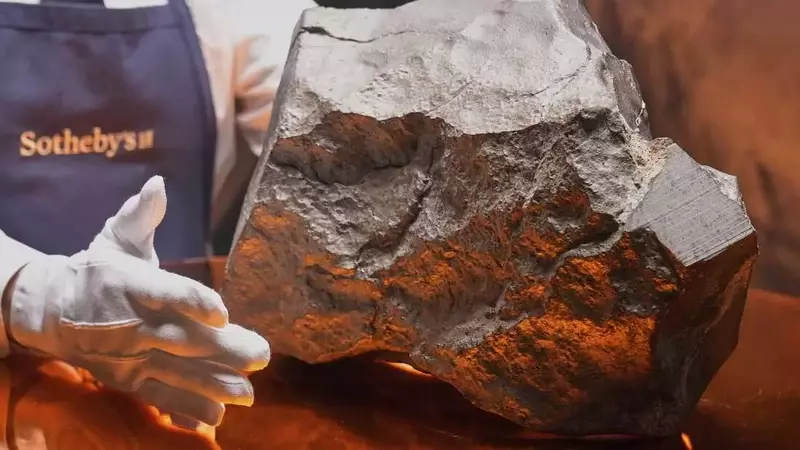 A Martian Meteorite's Journey to Auction