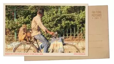 A Resonant Echo: Performing Monkeys in Delhi's Dynamic Landscape