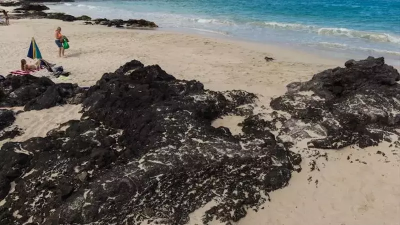 Unveiling America's Pristine Coastal Waters: A Surprising Revelation