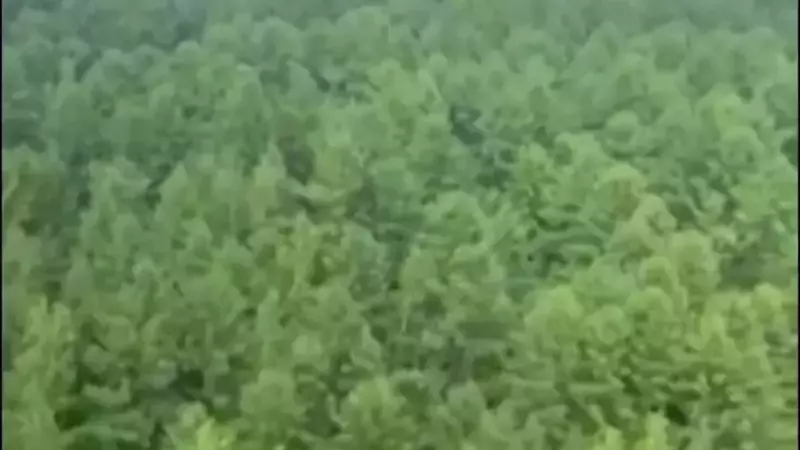 Russian Aircraft Goes Down in Far East