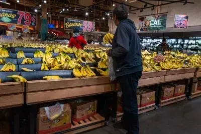 States Challenge USDA's Demand for Sensitive Food Aid Data