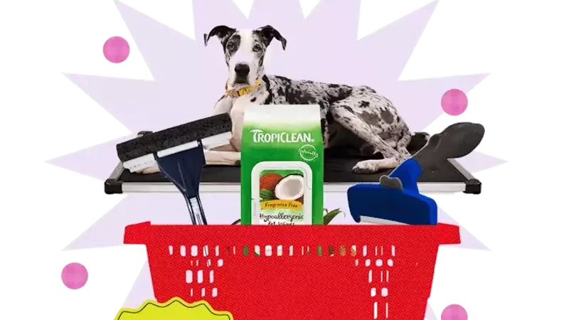 Maintain a Hair-Free Home with Pet-Friendly Products