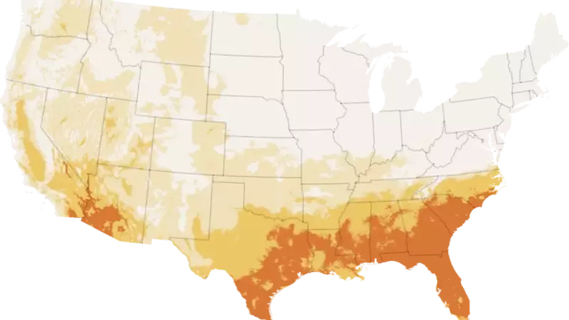 California's Unusually Cool Summer: A Climatic Anomaly Affecting the Golden State