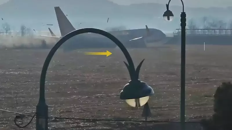 The Deadly Obstruction at Muan International Airport