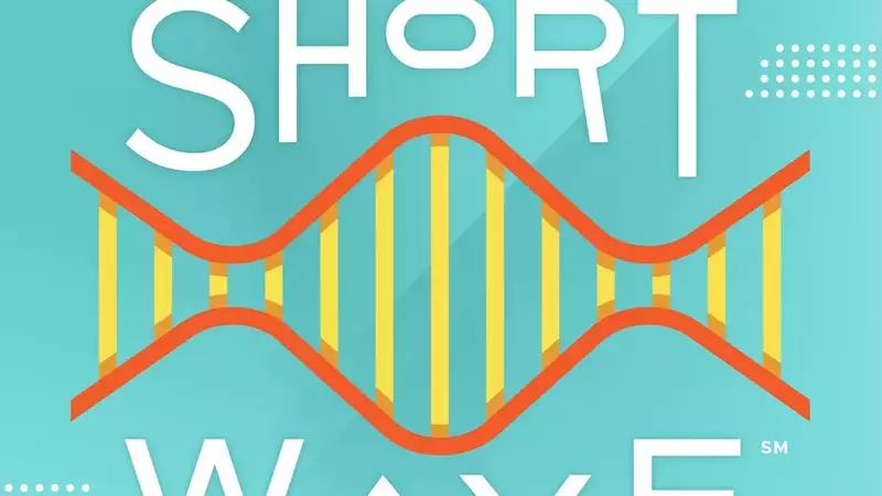 Unlocking the Secrets of SuperAgers: Insights into Exceptional Cognitive Longevity