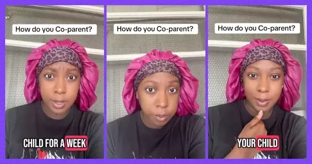 Co-parenting Challenges: A Father's Supply Complaint and a Mother's Insightful Reply