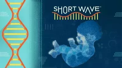 Gene Editing: Reshaping Human Future