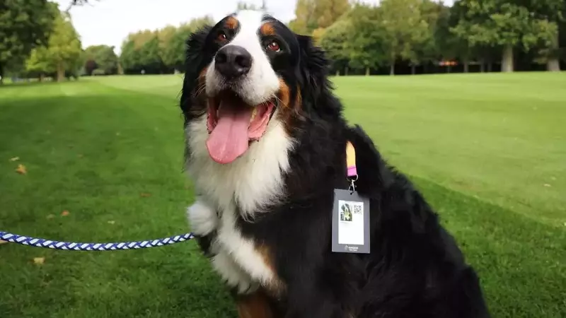 Unraveling the Enigma: The Linguistic Journey of 'Dog'