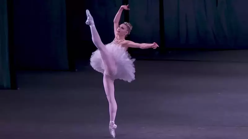 The Unseen Language of Hands in Dance