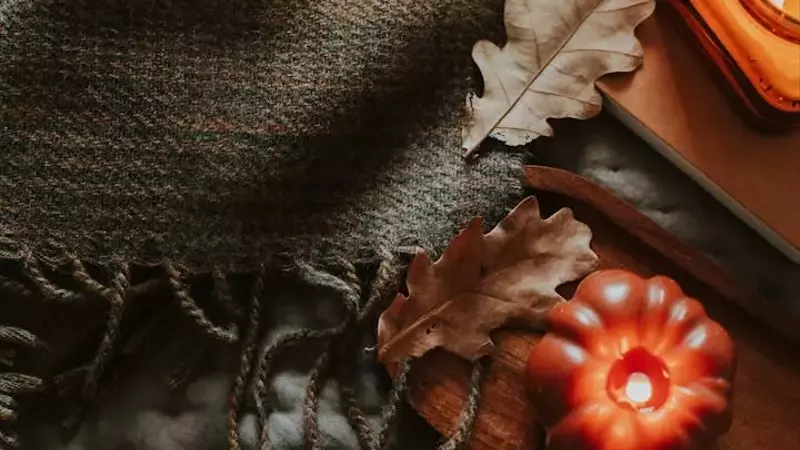 The Autumn Decor Dilemma: When Do We Embrace the Fall Spirit?