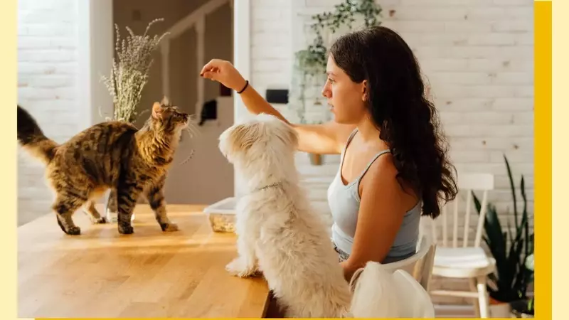 The 'Cat vs. Dog' Parenting Approach: Guiding Children Through Development