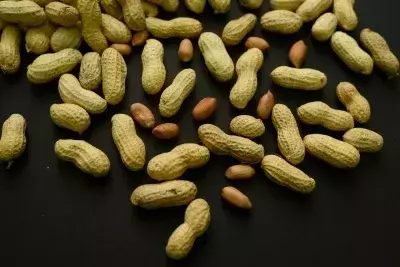 Peanut Allergy Prevention: A Decade of Progress