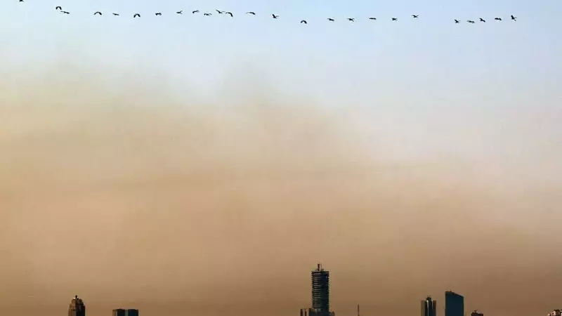 Lebanon's Escalating Cancer Crisis: Causes and Potential Solutions
