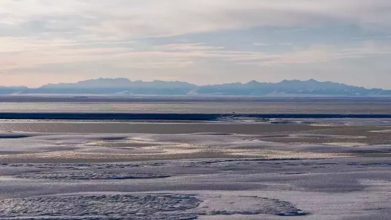 Trump Administration Greenlights Oil and Gas Drilling in Alaska's Arctic Refuge