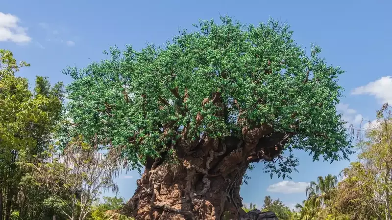 A Magical Family Journey: Discovering Unity at Disney's Animal Kingdom