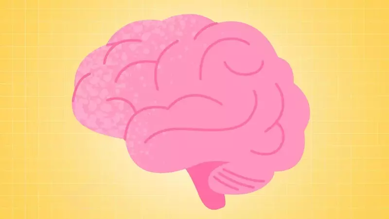 Weight Management and Brain Health: A New Perspective