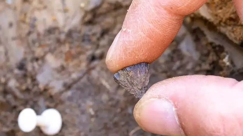 Ancient Fire-Starting: New Evidence Reshapes Human History