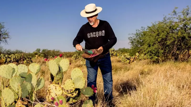 Tucson: A Culinary Journey Through the Sonoran Desert