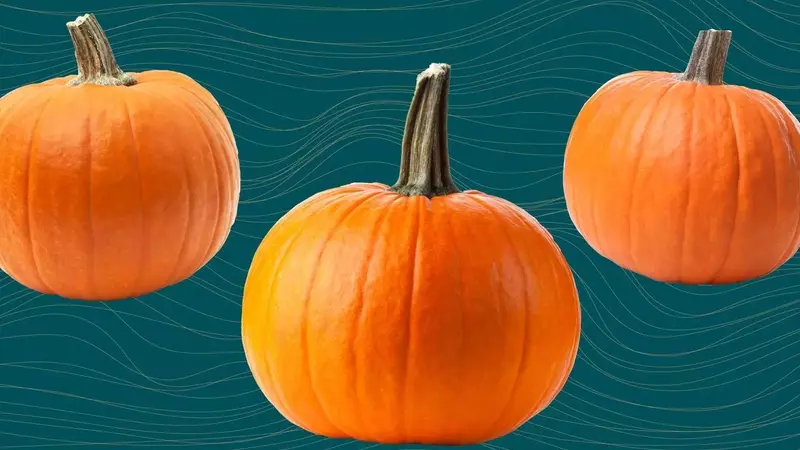 The Comprehensive Guide to Pumpkin: Health Benefits, Nutrition, and Culinary Uses