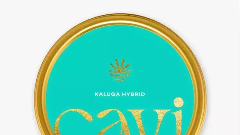 Cavi Caviar: A Luxurious Yet Affordable Delight