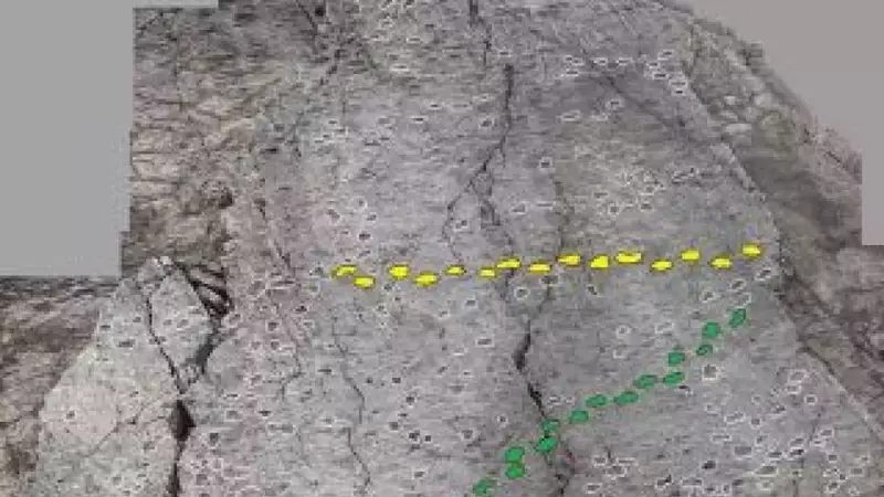 Ancient Dinosaur Tracks Uncovered Near Italian Winter Olympic Sites