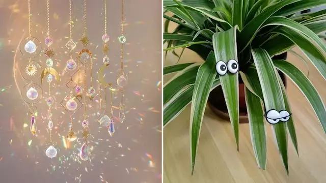 Whimsical Wonders: Budget-Friendly Charms for Every Home