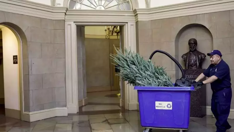 Sustainable Holiday Cleanup: Managing Post-Celebration Waste