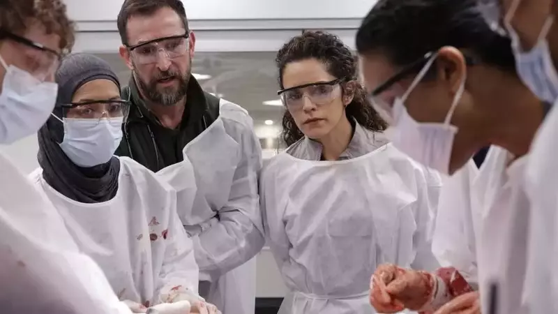 Realism of "The Pitt" Resonates with Medical Professionals