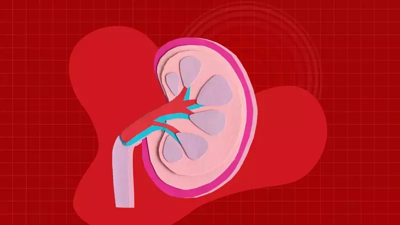 The Hidden Risk of Excessive Electrolyte Drink Consumption for Kidney Health