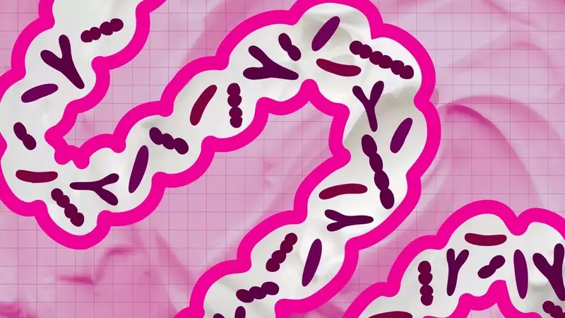 The Daily Impact of Yogurt on Gut Health