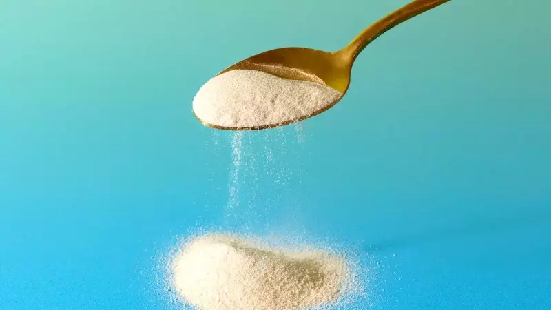 The Comprehensive Guide to Fiber Supplements
