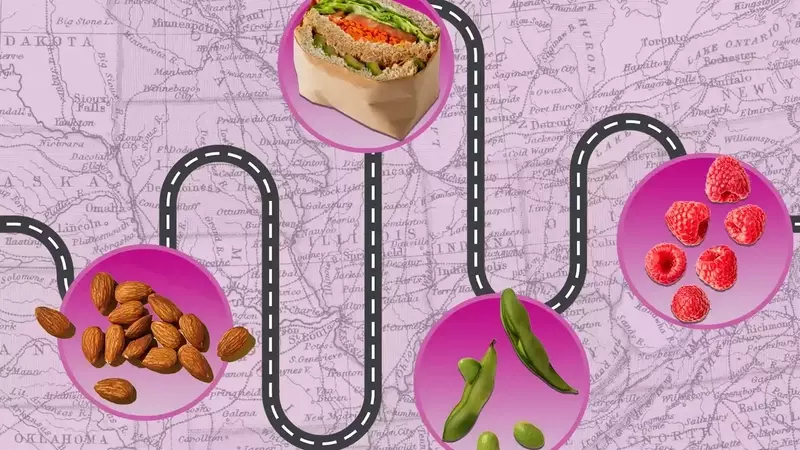 The Indispensable Nutrient for Travelers: Fiber's Crucial Role in Maintaining Health