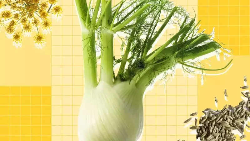 Exploring Fennel: A Culinary Guide to Its Versatility and Uses