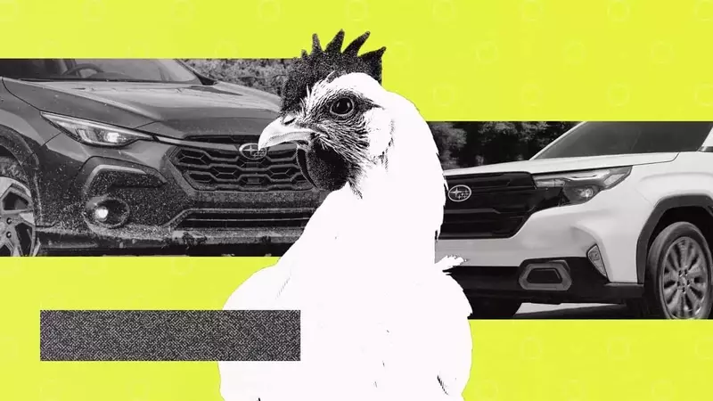 Subaru Owners' Unusual Cargo: A Deep Dive into Animal Transportation Habits