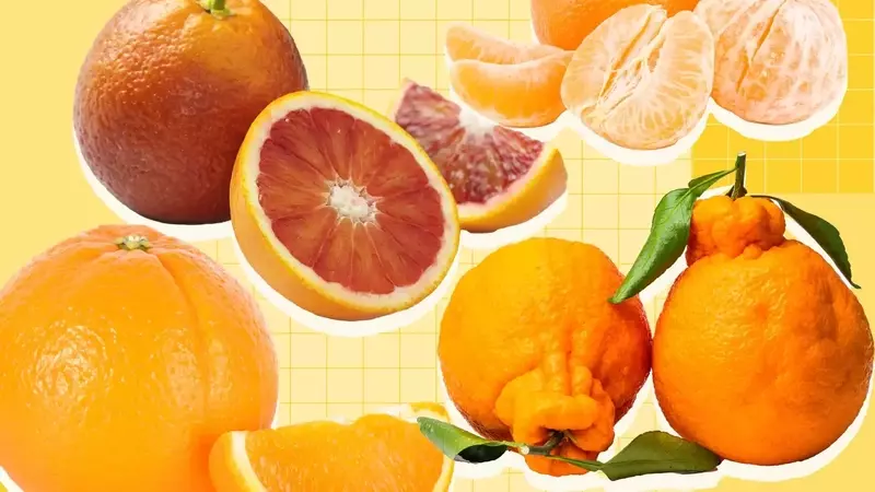 A Comprehensive Guide to Orange Varieties