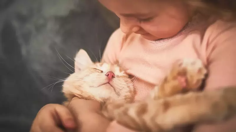 From Feline Focus to Family Harmony: A Parent's Journey with Pets and Child