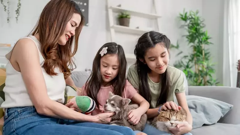 Evolving Parental Approaches: The 'Cat vs. Dog' Philosophy