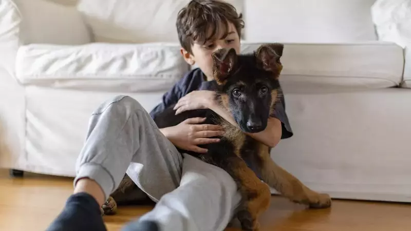 The Journey of Welcoming a Pet: Addressing a Child's Desire for Companionship